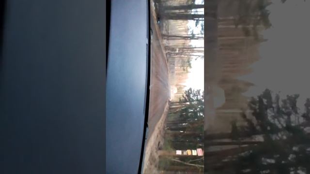 Короткая дорога из электростали в павловский посад через деревню субботино смотреть онлайн