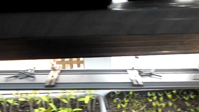 Стеллаж для рассады и растений своими руками.