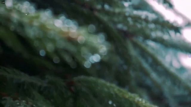 FORUM'21 Релакс Медитация смотреть онлайн