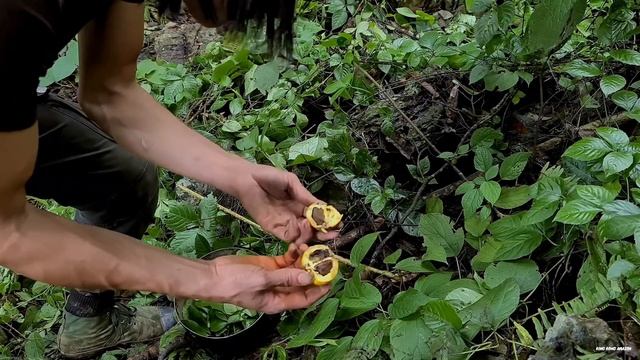 Struggling To Find Food In A New Land, Survival Instinct, Wilderness Alone, survival, Episode 160 смотреть онлайн