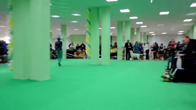 Белый город-2014,BIG 8-ой группы,1часть. смотреть онлайн