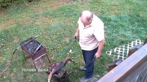 разделка быка