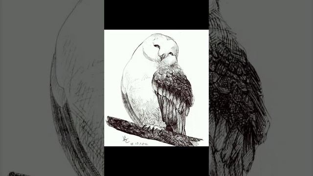 Что можно нарисовать если нет идей смотреть онлайн