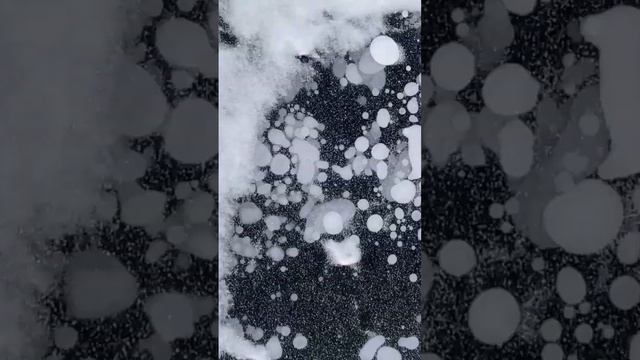 Обское море промёрзло до дна на мелководье. Новосибирцы до снегопадов успели наснимать красоты смотреть онлайн