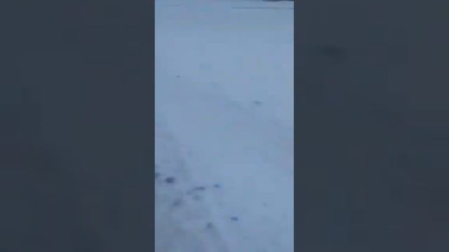 Panjrood, Winter 2023, January. Панчруд, январи 2023 зимистон @panjrudrudaki #Rudaki смотреть онлайн