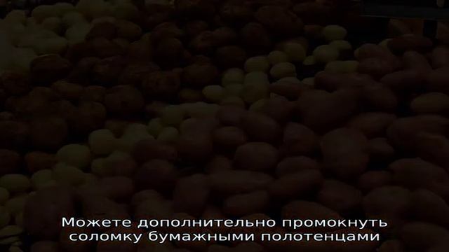 Картофель пай смотреть онлайн