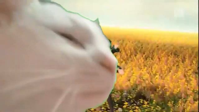 Cat Vibes to Ievan Polkka but it's Hatsune Miku смотреть онлайн