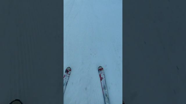 ПОКОРИЛ ВТОРУЮ СОПКУ НА ГОРНЫХ ЛЫЖАХ! СКЛОН 1000 МЕТРОВ! КАТАНИЕ НА ГОРНЫХ ЛЫЖАХ! смотреть онлайн