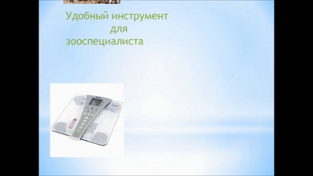 Весы для взвешивания.Разработатьинновацию смотреть онлайн