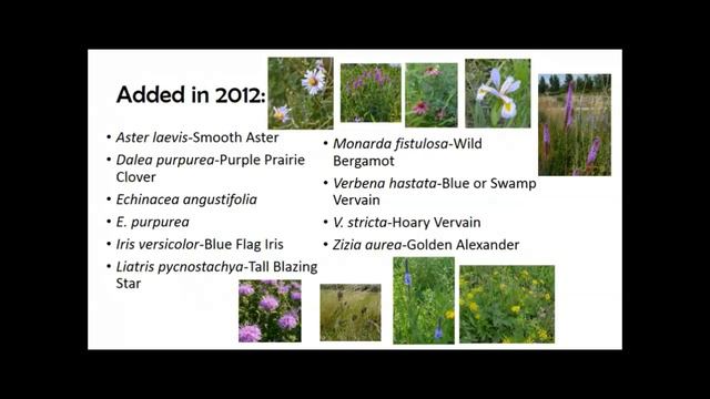 Spring Fever Garden Forum 2017: Prairie Meadow Gardens смотреть онлайн