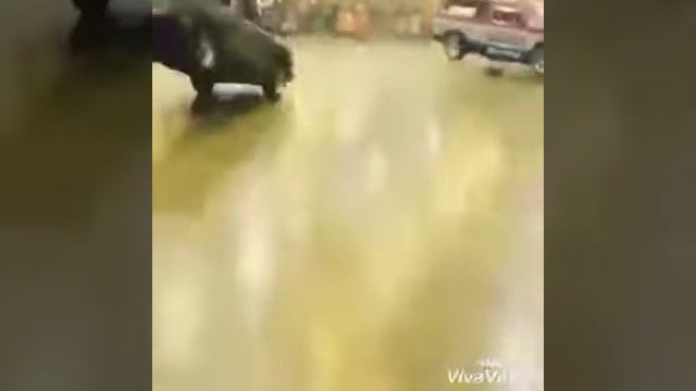 Соревнования по танцам на лоурайдерах смотреть онлайн