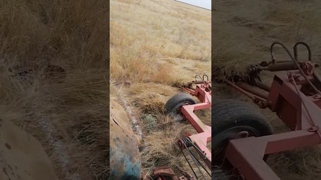 сенокос 2022) смотреть онлайн