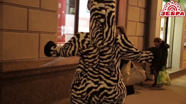 Ролик Зебра 2 смотреть онлайн