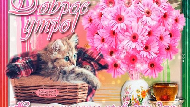 С добрым и счастливым утром! Желаю проснуться в прекрасном настроении и с массой планов 💞💞💞 смотреть онлайн