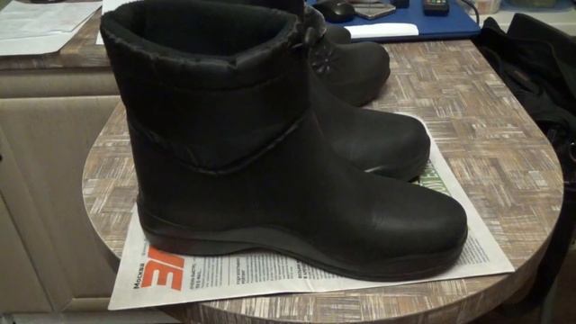 Влог Вереск крашеный?!! Дела дачные.Покупки из Светофора.Коты. Наш лес. смотреть онлайн