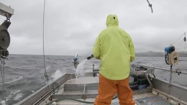 Getting a Little Nautical! - Cod Fishing in May Pt.2 смотреть онлайн