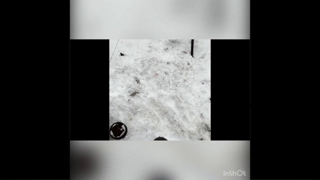 Рыбалка на фидер 23.02.22 смотреть онлайн