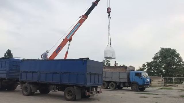 Хозяйства запасают сульфоаммофос и аммофос для подкормки озимой пшеницы смотреть онлайн