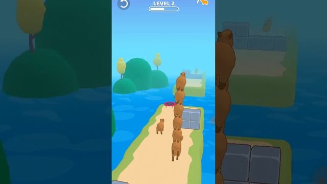 #капибара #животные смотреть онлайн