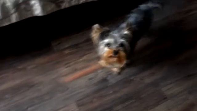 Моя кнопа смотреть онлайн