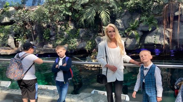 Крокус Сити Океанариум смотреть онлайн