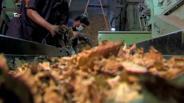 How Cigarettes Is Made In Factory | Marlboro Cigarette Production