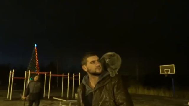 Кот на плече 🙊✨ смотреть онлайн