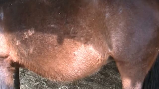 Wriggler! смотреть онлайн