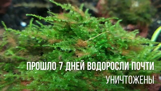 Сайдекс действительно работает смотреть онлайн