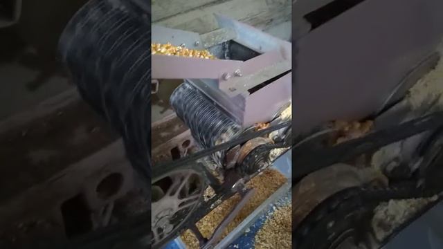 VID 20191226 104910 Плющилка зерна смотреть онлайн