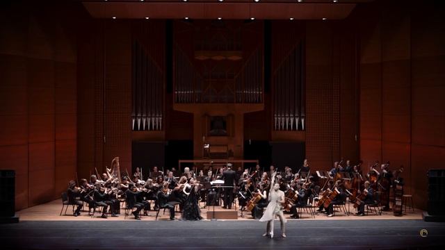 The Butterfly Lovers Selection Ballet 梁祝选曲《化蝶》芭蕾 陈镇威&方仲静 смотреть онлайн