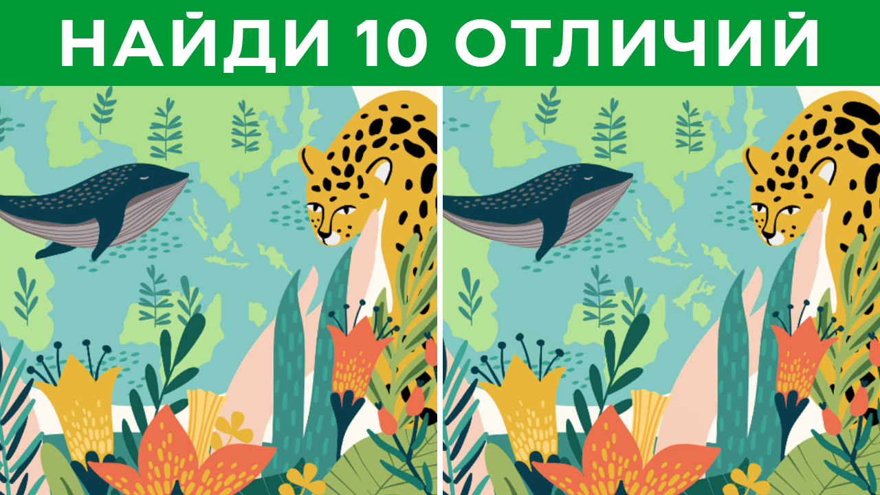 Найди отличия #55 смотреть онлайн