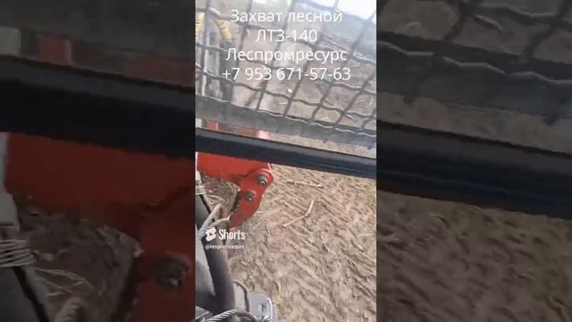 Лесной захват ЛТЗ-140 (2024) Леспромресурс в работе по вывозке леса смотреть онлайн
