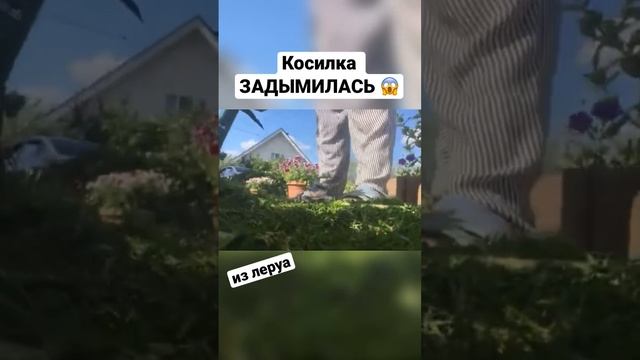 ?ТРИММЕР ЗАДЫМИЛСЯ из леруа? #косилка #триммер #огород #леруамерлен #дача #трава #электрокосилка смотреть онлайн