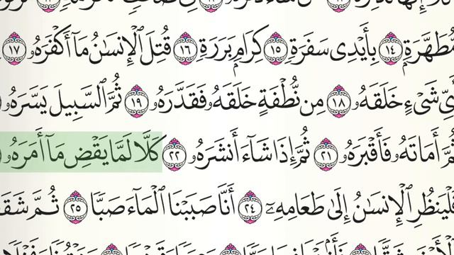 80  Abasa || Абаса || عبس (Mishary Rashid Al Afasy)