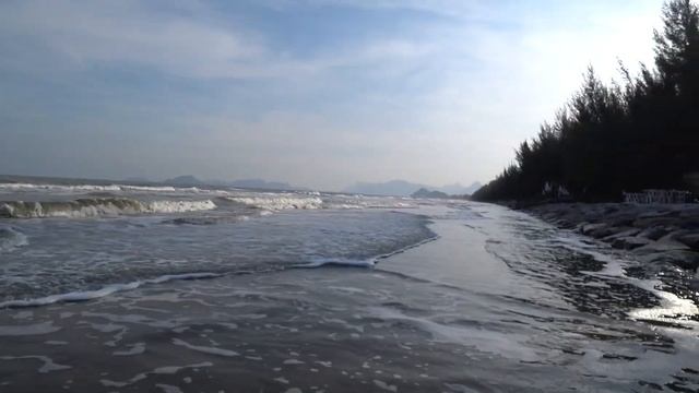 После поедания арбуза тактикой дикаря, начали остригать ногти нашей собаке #собакамечты смотреть онлайн