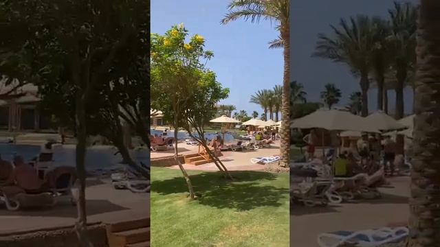 Гуляем по TROPITEL SAHL HASHEESH 5*. Египет. Хургада смотреть онлайн