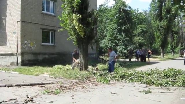 Вырубка тополя смотреть онлайн