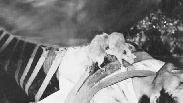 Колодец и маятник - Эдгар Аллан По смотреть онлайн