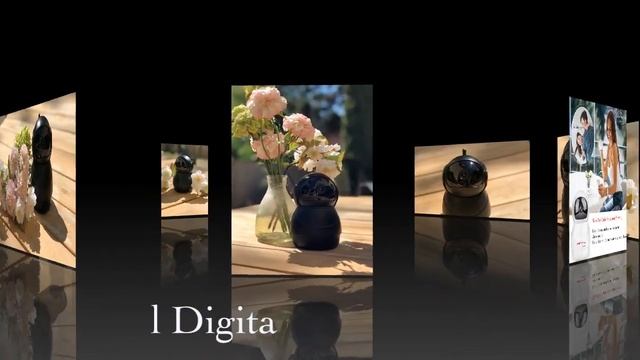 Pet Camera  Baby Camera 3D Security Camera Camera 360 WIFI Camera IP Camera Nanny Camera MINANY CAS