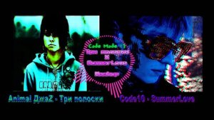 Animal ДжаZ - Три полоски & Code10 - SummerLove (MASHUP)