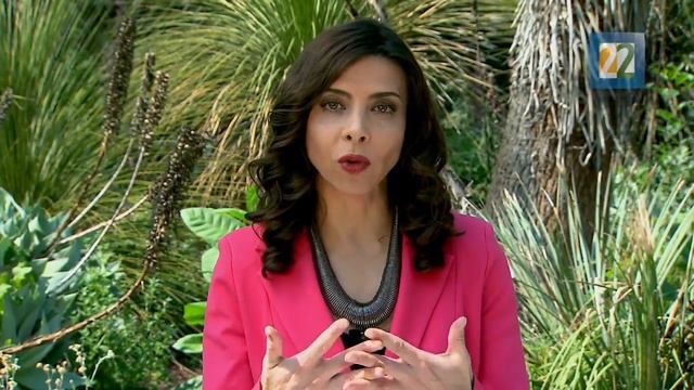 INSTINTO ANIMAL T3 P10 BLOQUE 2 Explotación y rescate de la Totoaba. смотреть онлайн