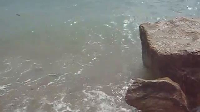 камень "черепаха" смотреть онлайн