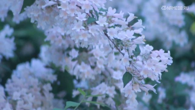 Самые необычные русские имена смотреть онлайн