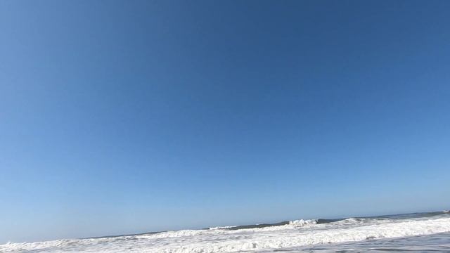 California Surf Perch Fishing During Incoming High Tide (Fishing Tips&Rigs) смотреть онлайн