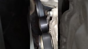 Шумит подшипник натяжителя ремня генератора,кондиционера. Поло Седан дв CWVA 1.6 110.