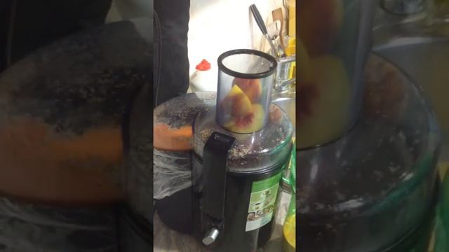 IMG 1602 смотреть онлайн