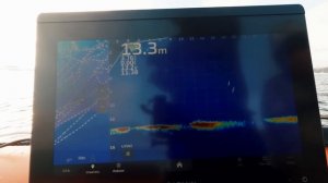 Рыбалка с Panoptix LiveScope. Новый РОТАТОР 360 с удержанием цели