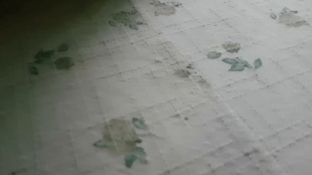 РЫСЬ БОМБИТ - хватит меня учить жизни и указывать мне, что я должен а что нет смотреть онлайн