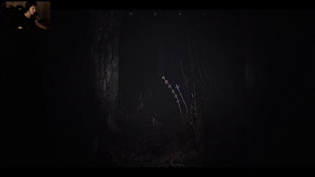 ПО НАСТОЯЩЕМУ СТРАШНАЯ ИГРА ПО МОТИВАМ ФИЛЬМА ВЕДЬМА ИЗ БЛЭР - The House In The Woods (Indie Horror смотреть онлайн